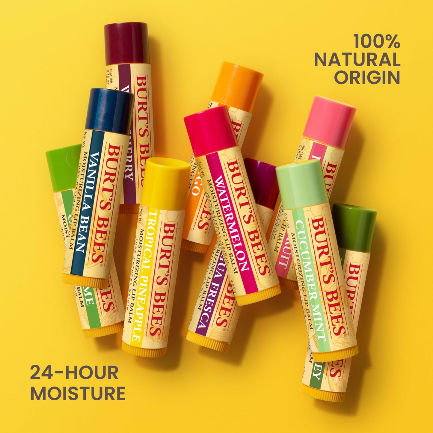 Burt's Bees vanilla bean double pack premium hydration daily skin care essential