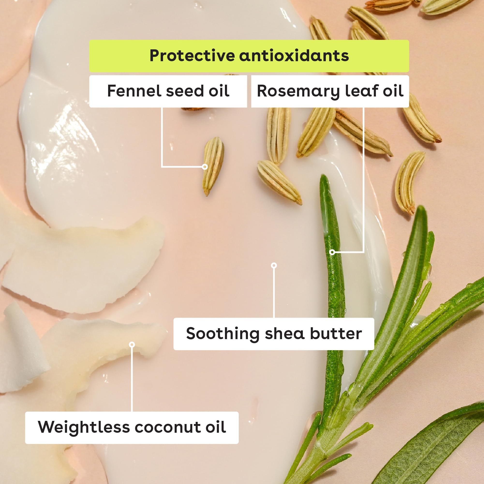 Dermatologist recommended Eos Vanilla Bean lip balm