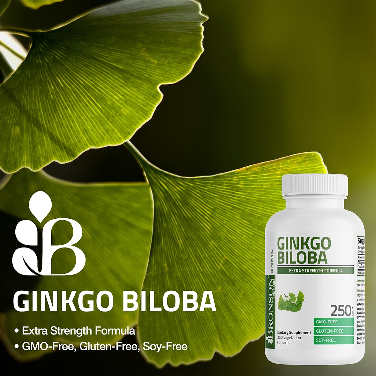 Back label of Bronson Ginkgo Biloba showing supplement facts and laboratory tested quality assurance