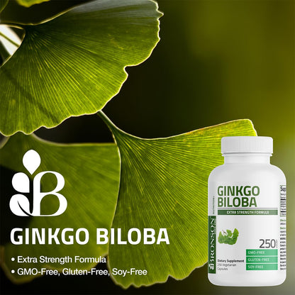 Back label of Bronson Ginkgo Biloba showing supplement facts and laboratory tested quality assurance