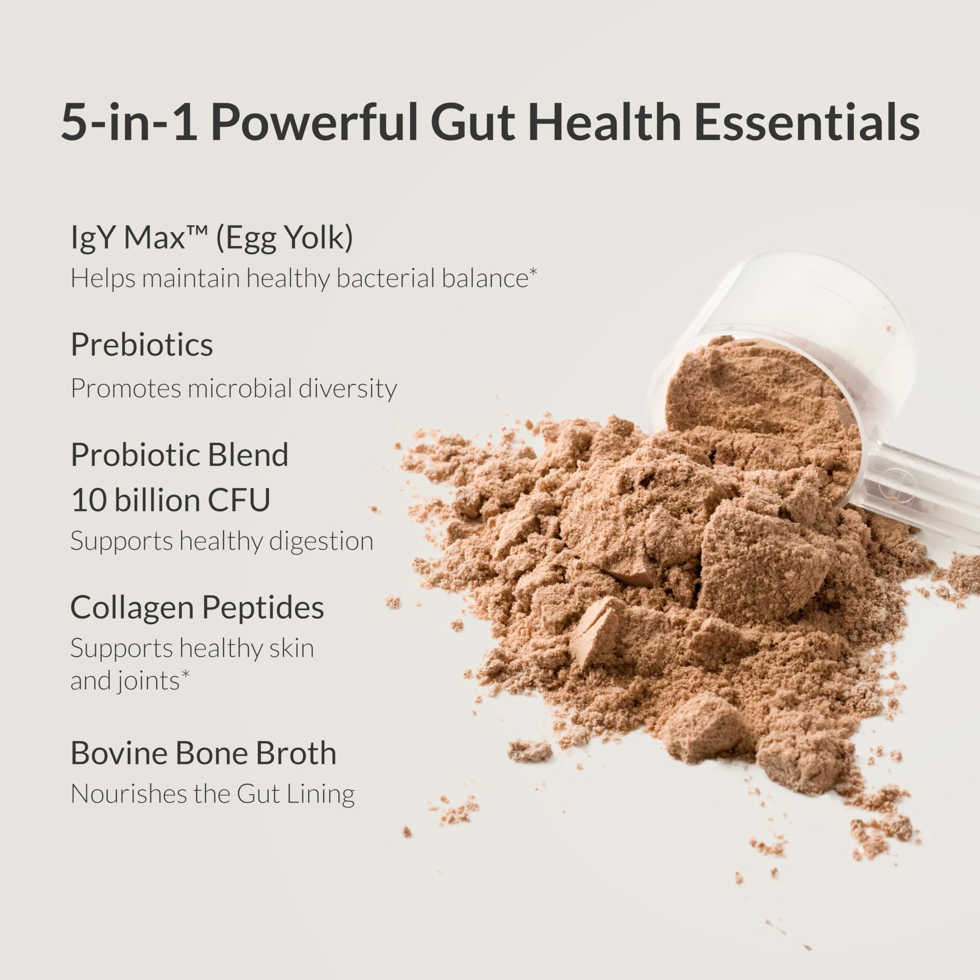 Creamy chocolate flavor digestive powder with probiotics and bovine collagen
