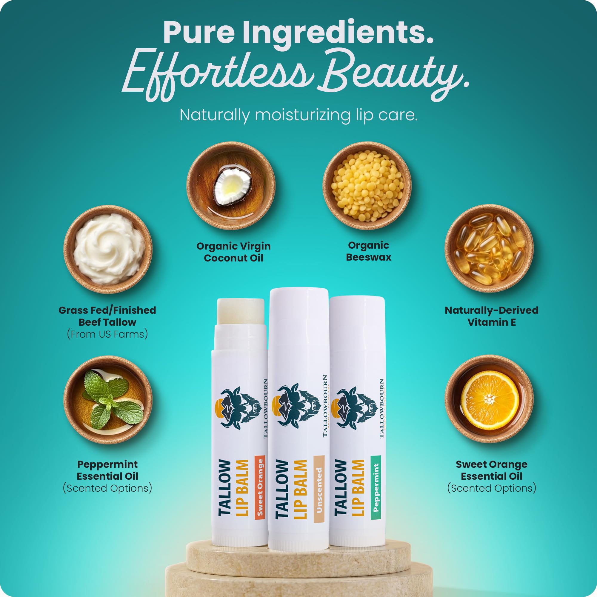Tallowbourn lip balm set for dry chapped lips care