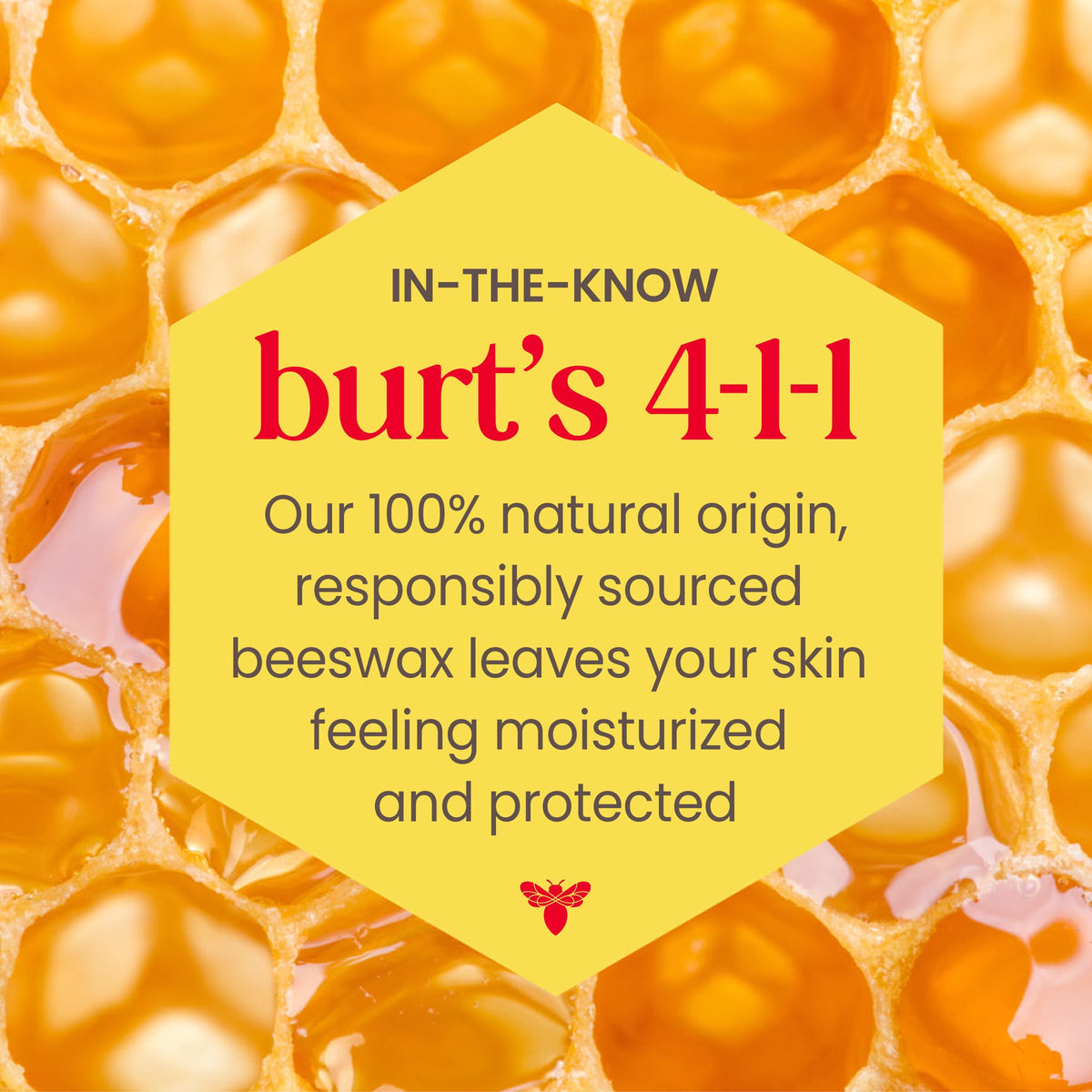 Natural botanical waxes and shea butter formula showcase