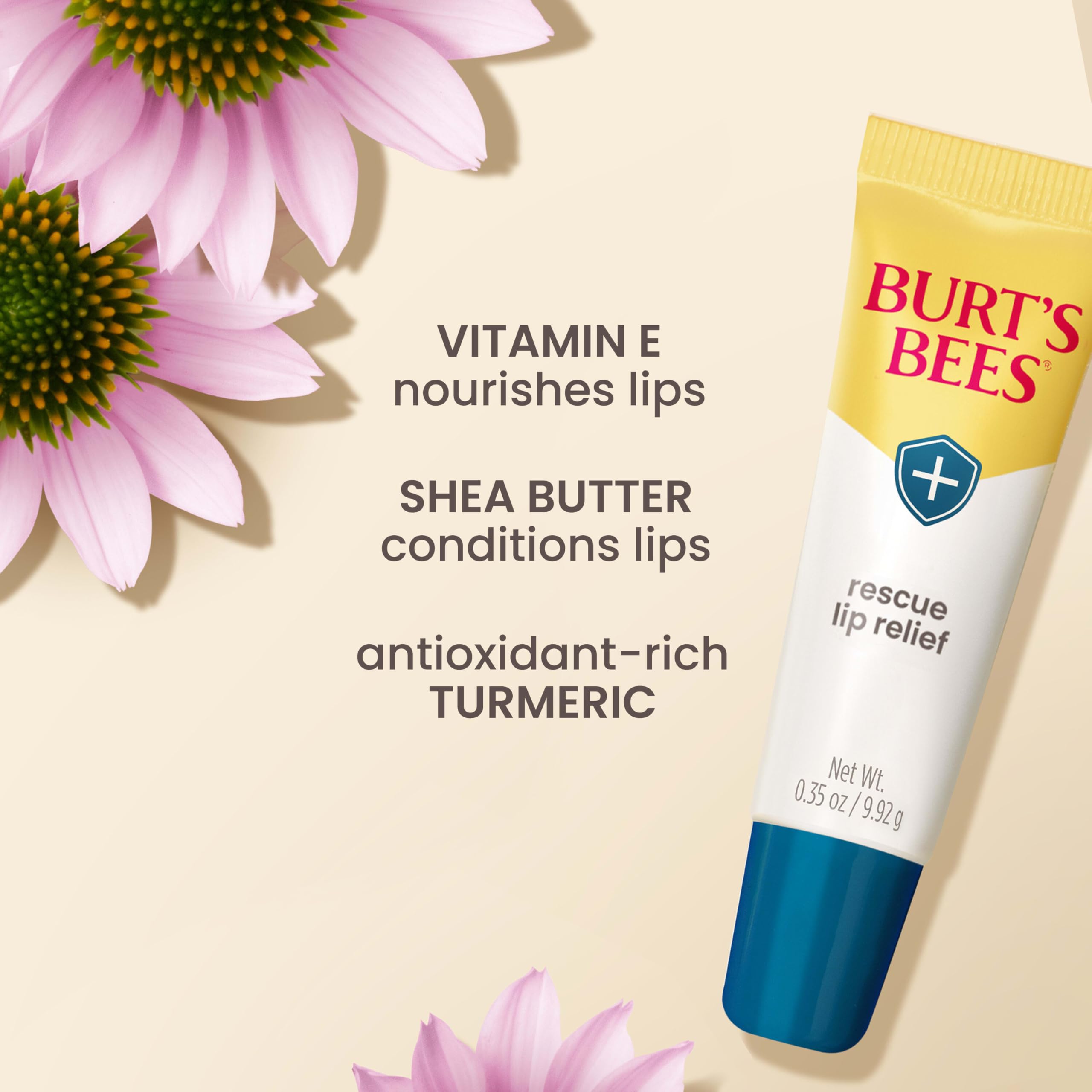 Burt's Bees natural moisturizing lip balm with shea butter and echinacea text clearly visible on the product label.