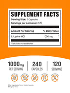 BulkSupplements L-Lysine supplement bottle side view highlighting dietary facts and ingredients