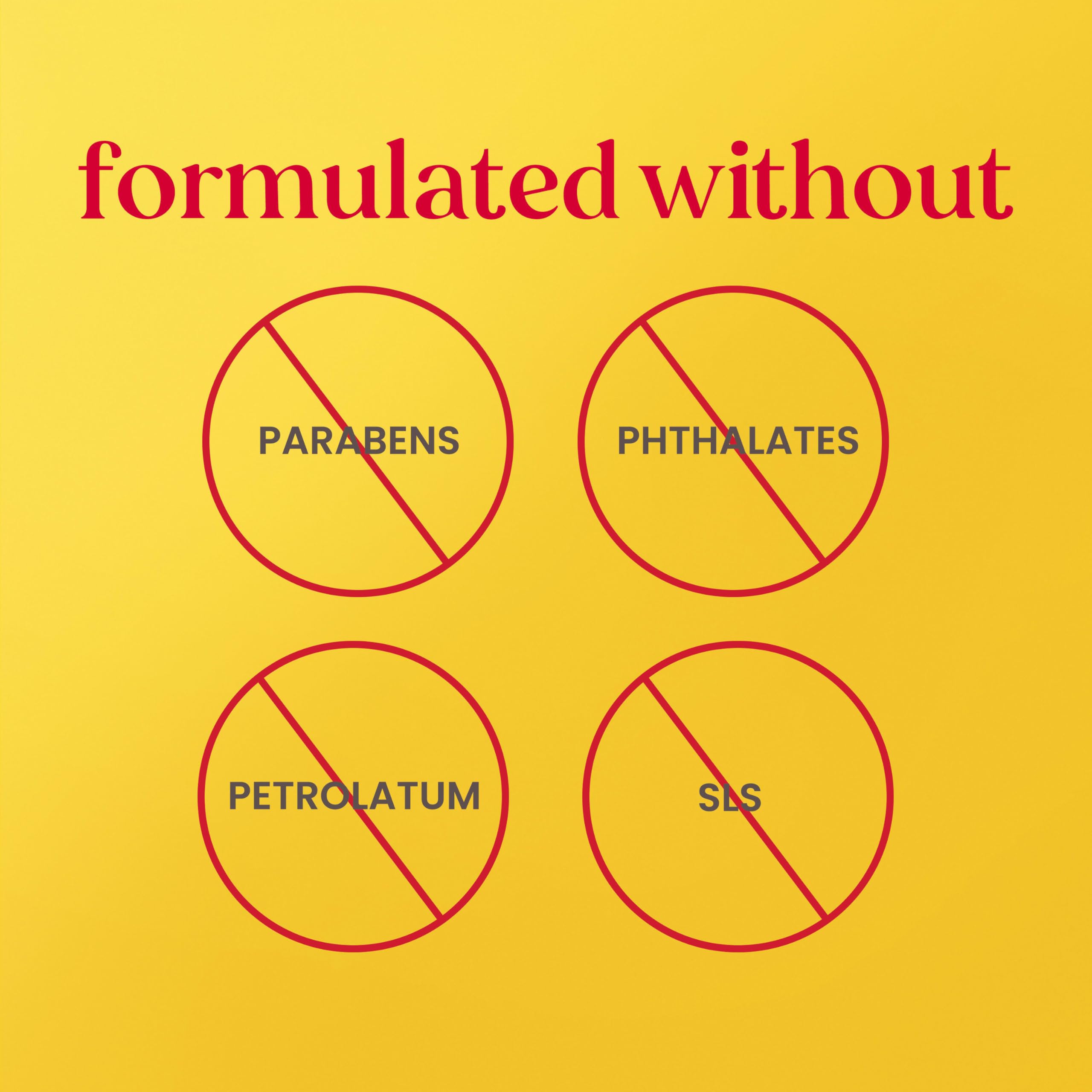 Burt's Bees four pack personal care set displayed on a clean surface for daily skincare routines.
