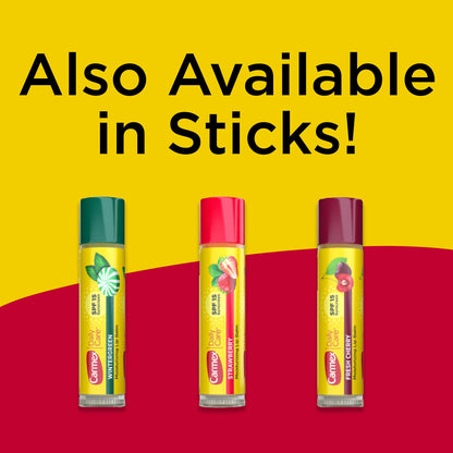Carmex variety pack assorted flavors travel size