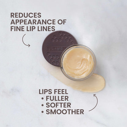 Burt's Bees natural origin ceramide lip care ointment jar close up view