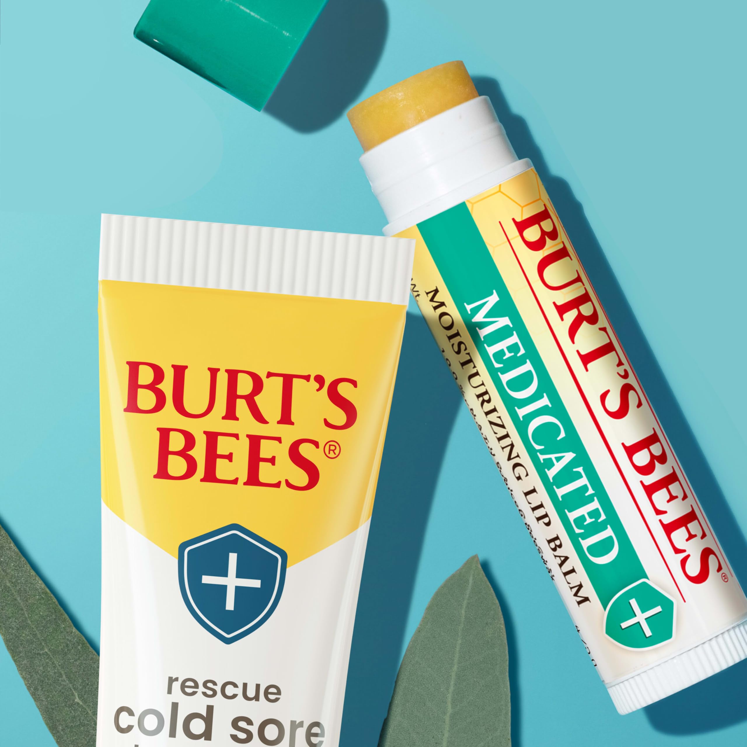 Two tubes of Burt's Bees natural medicated lip balm with menthol and eucalyptus oil on a clean background.