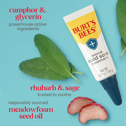 Burt's Bees medicated lip care duo for relieving fever blisters and tingling lips.