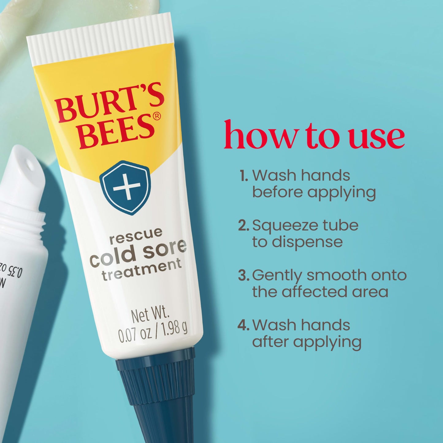 Burt's Bees cold sore ointment packaging detailing rhubarb, sage, and camphor ingredients.