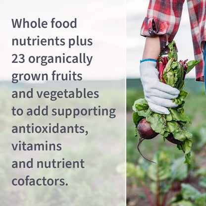 Top angle view of Garden of Life B12 bottle showing the capsule counts and clean whole food formulation details