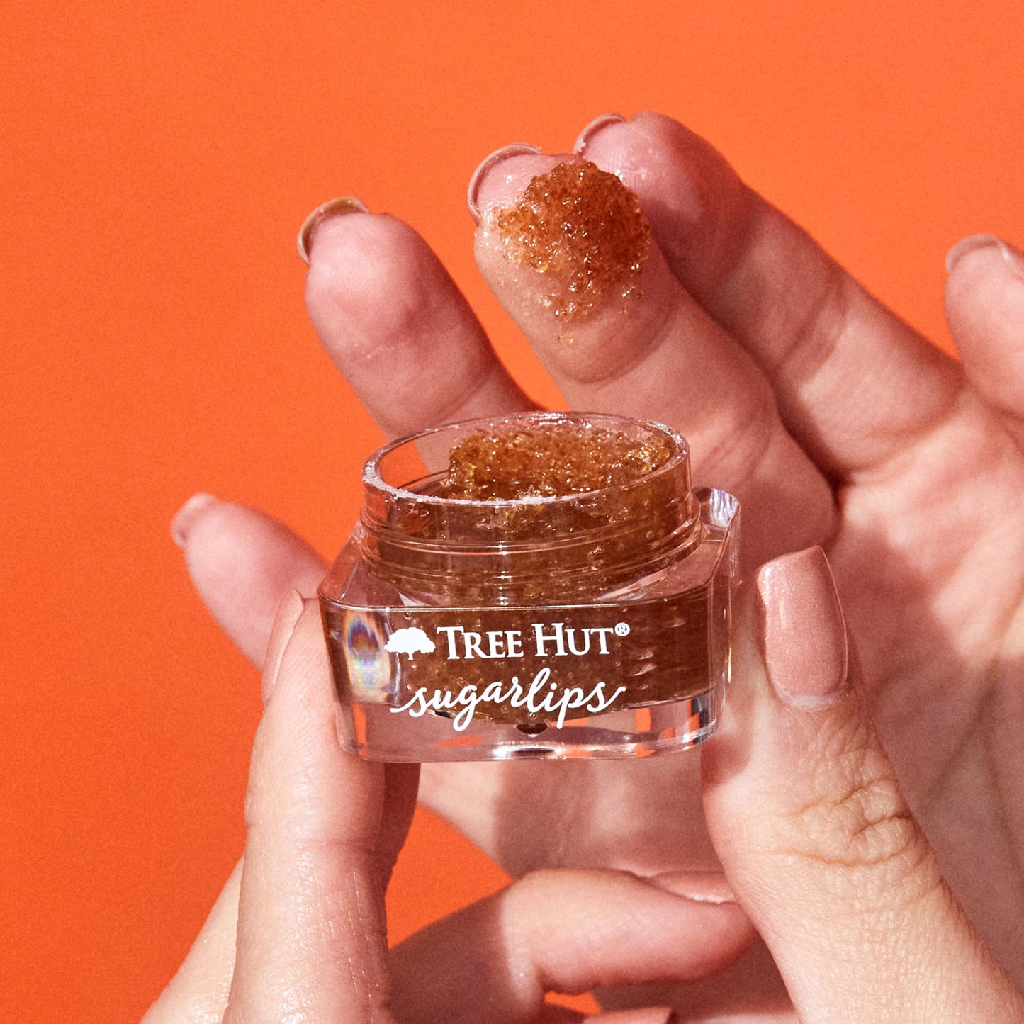 Tree Hut Pout Pack set for smooth hydrated lips