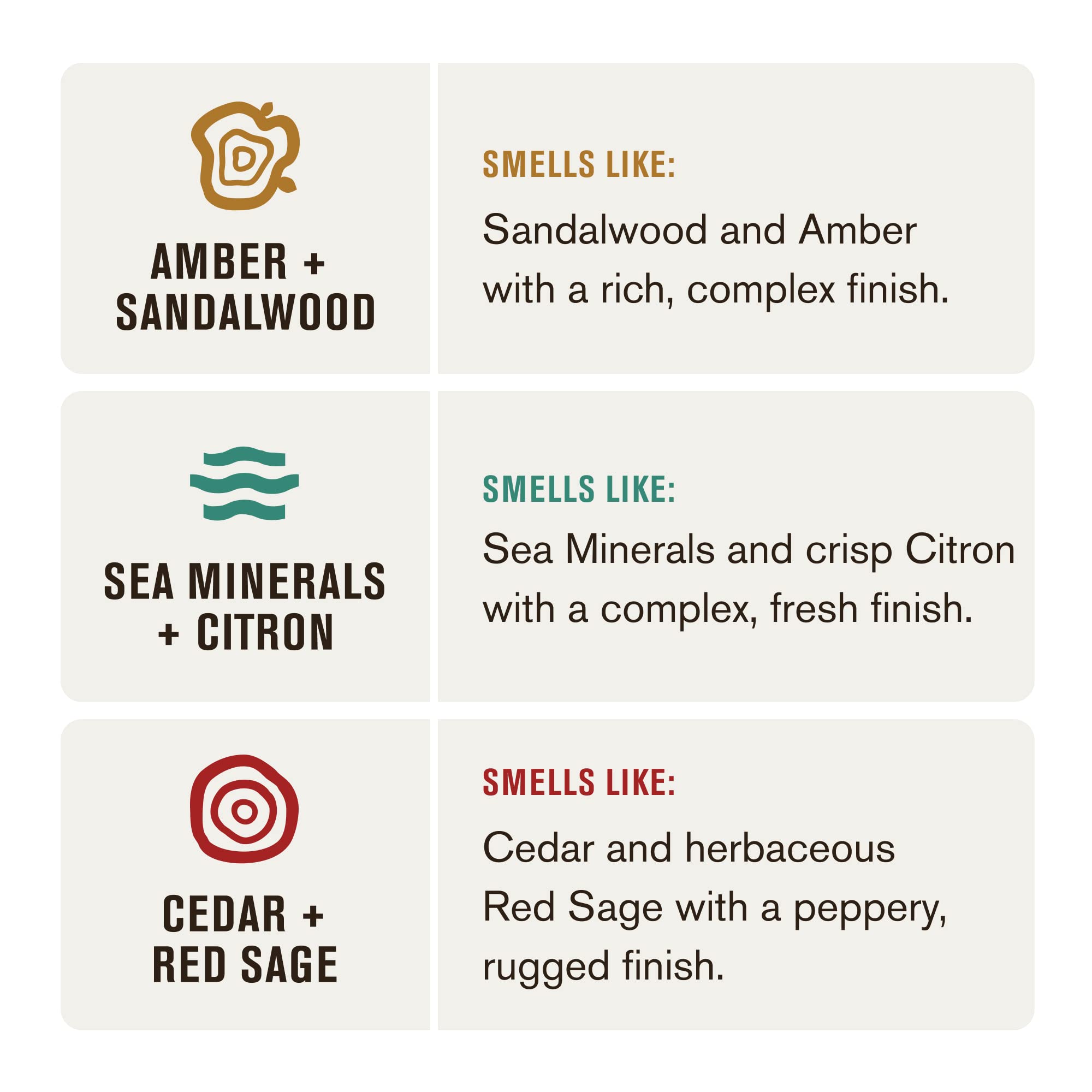 Every Man Jack Sea Minerals and Citron shampoo and conditioner