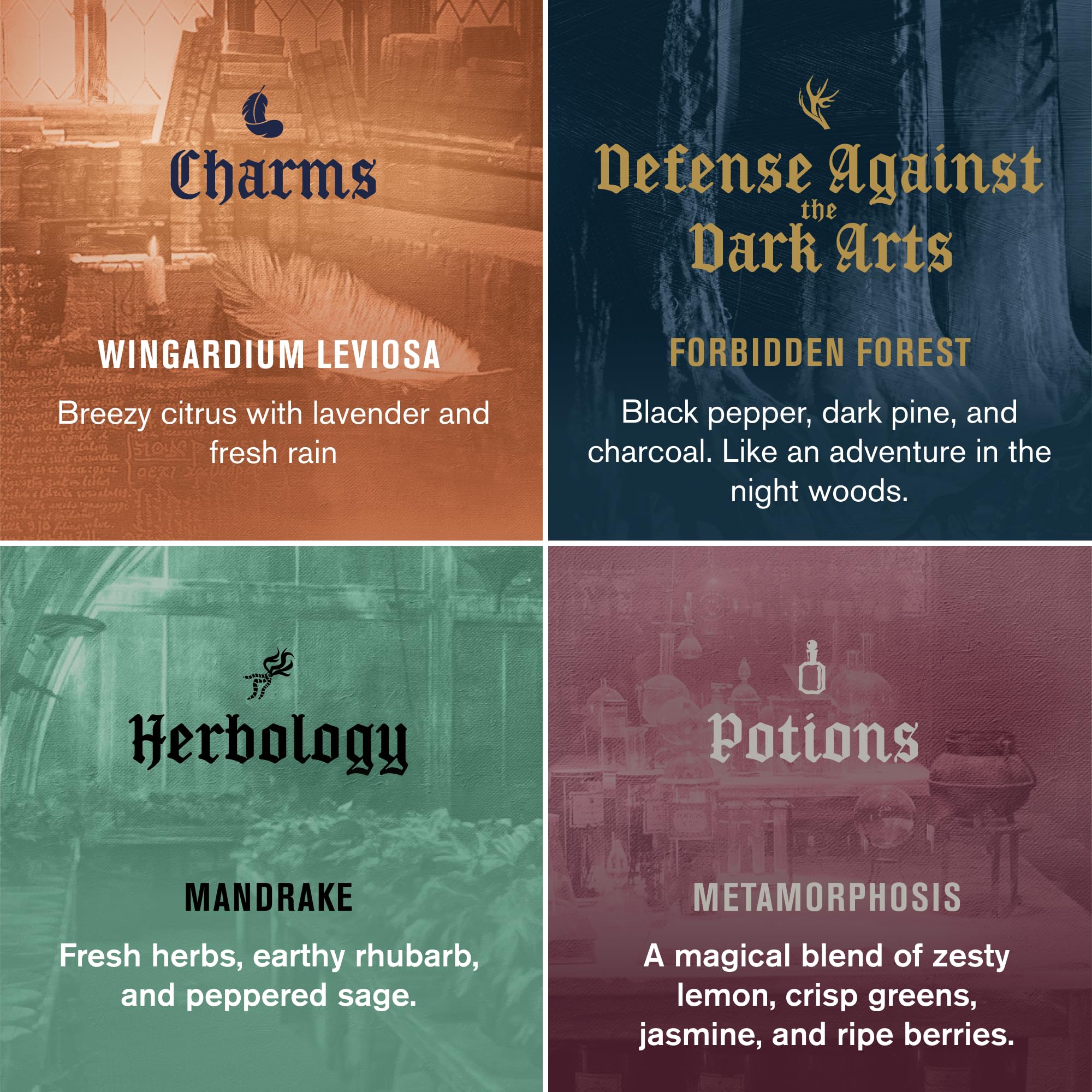 Premium mens nature derived body wash gift box inspired by the Wizarding World of Hogwarts