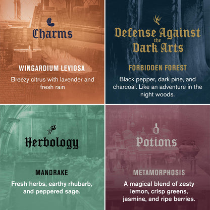 Premium mens nature derived body wash gift box inspired by the Wizarding World of Hogwarts