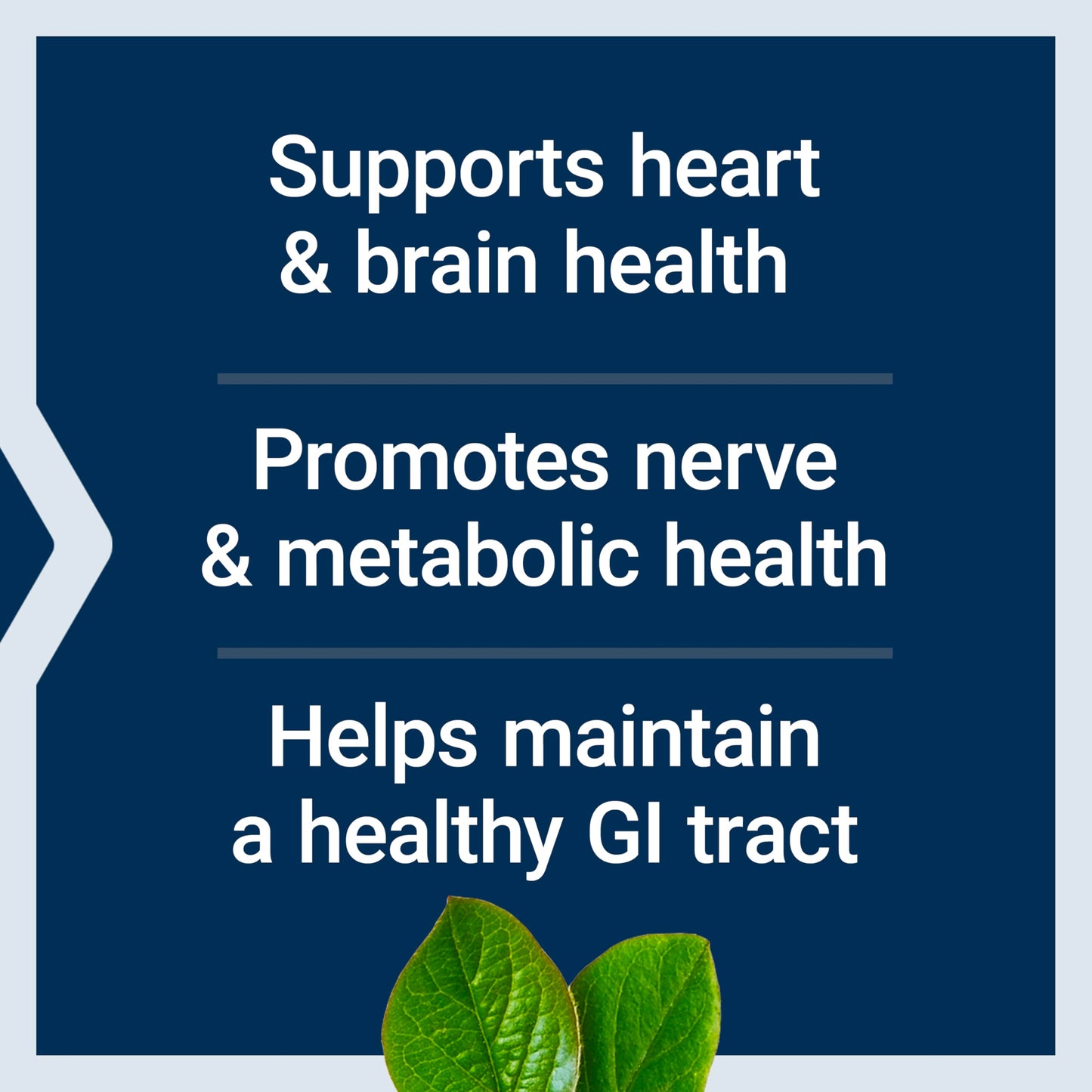Life Extension 5 MTHF folate and methylcobalamin capsules dosage directions