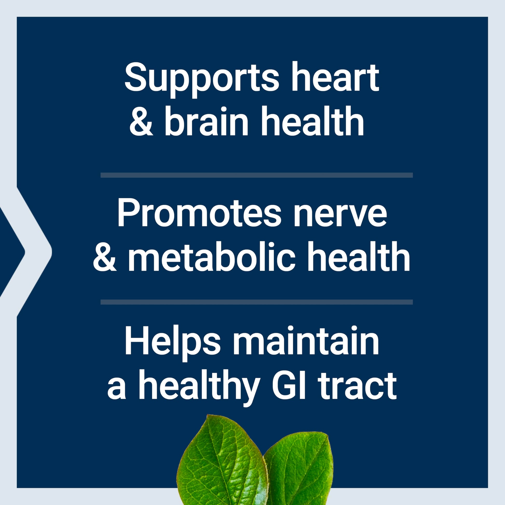 Life Extension 5 MTHF folate and methylcobalamin capsules dosage directions