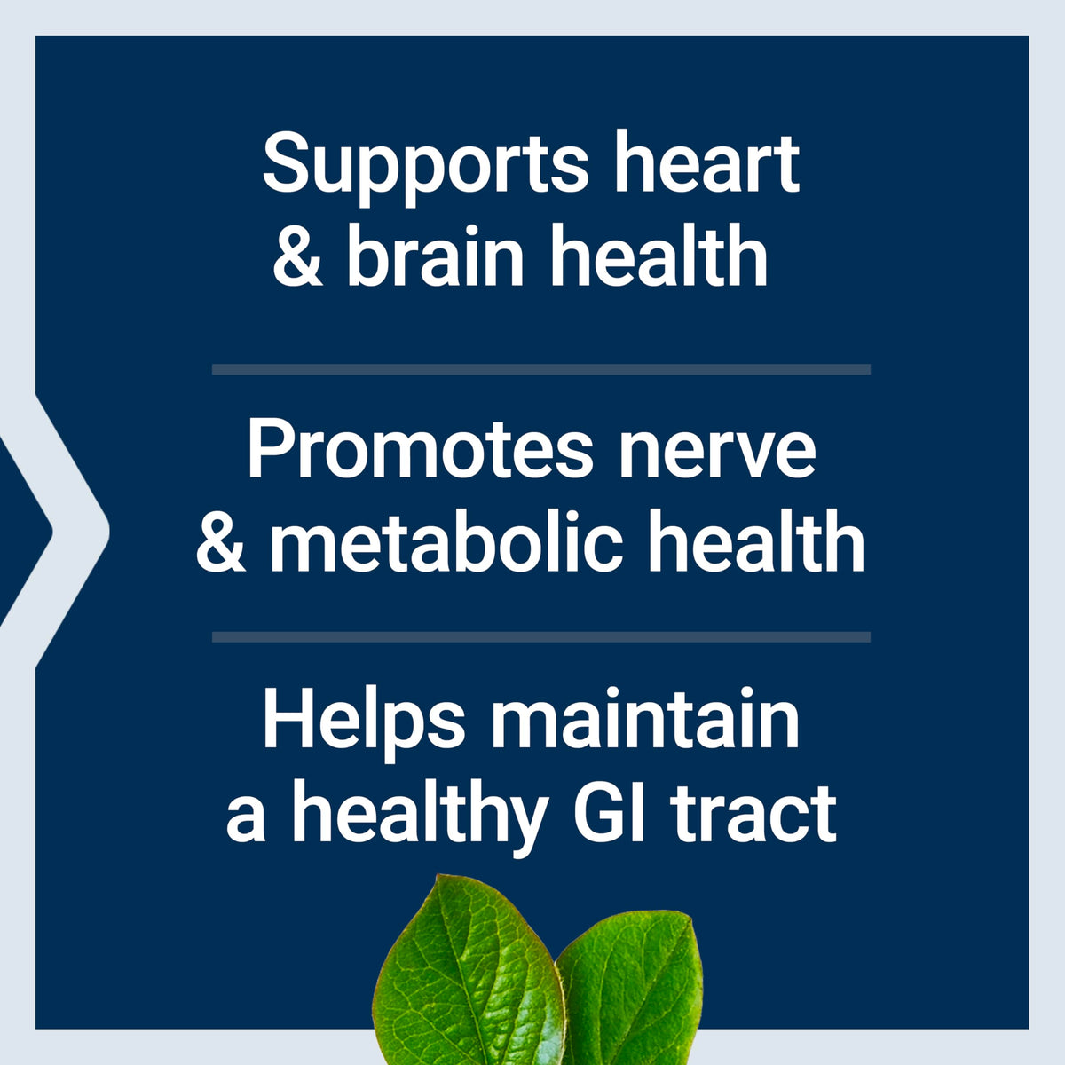Life Extension 5 MTHF folate and methylcobalamin capsules dosage directions