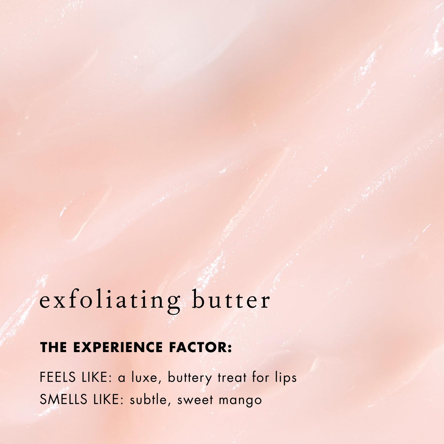 Bioelements Lip Clinic Exfoliating Butter size 0.33 fluid ounce