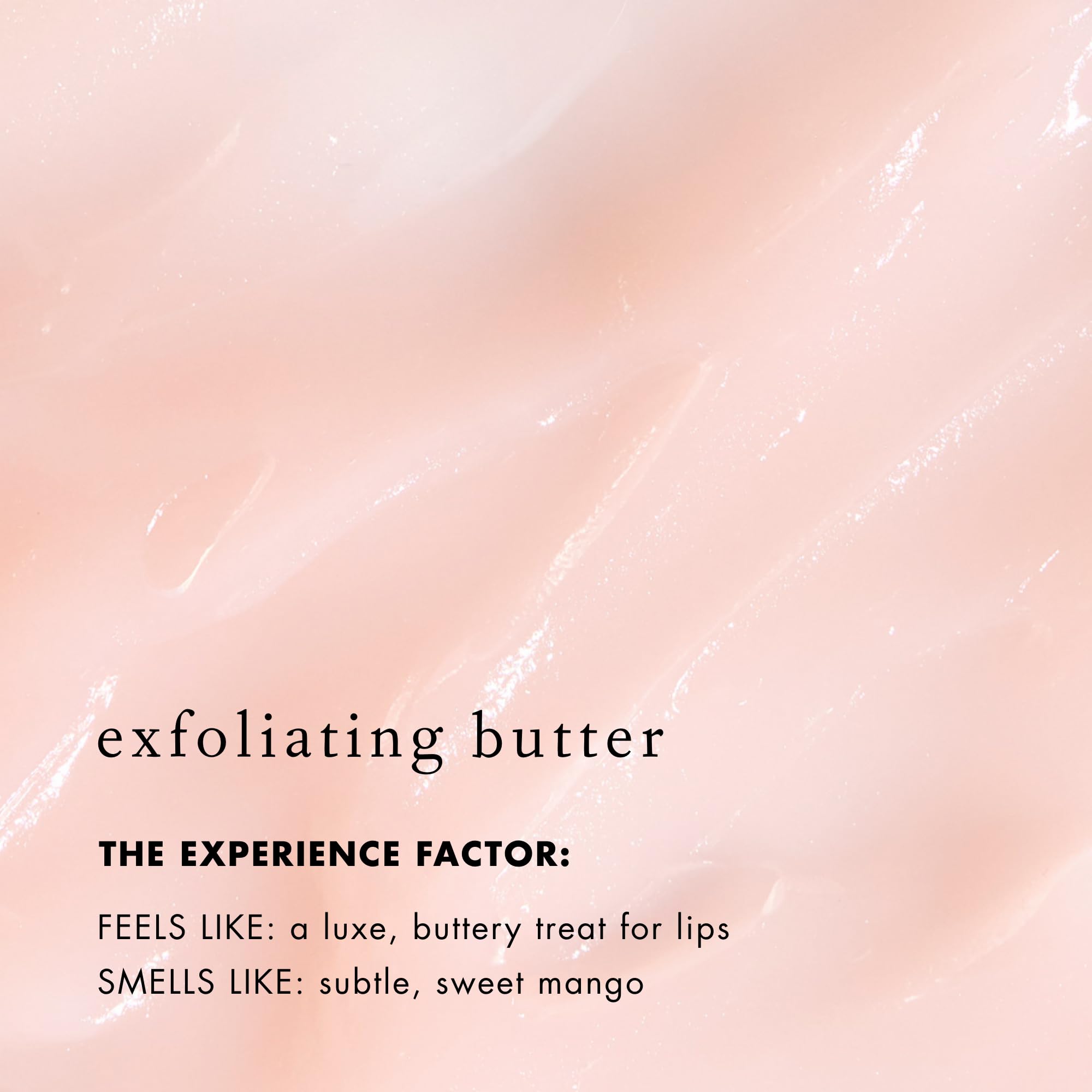 Bioelements Lip Clinic Exfoliating Butter size 0.33 fluid ounce
