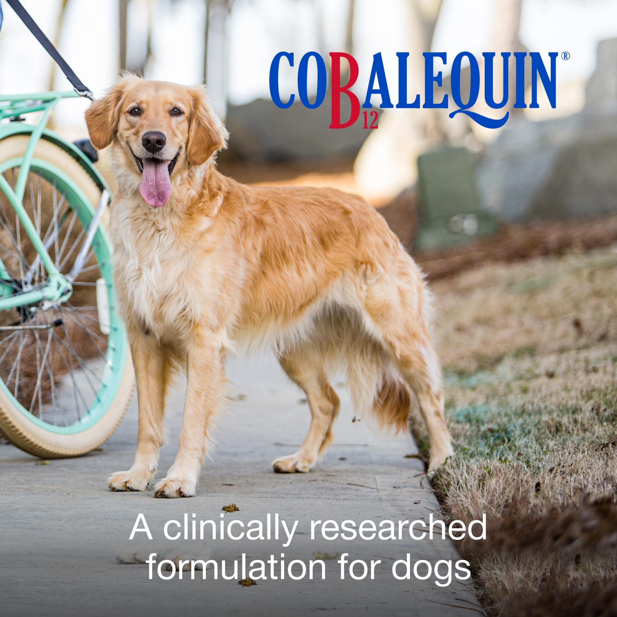 Cobalequin oral cobalamin supplement with folate chewable tablets ingredient panel close up