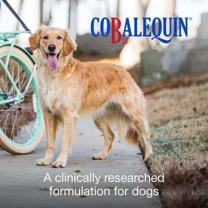 Cobalequin oral cobalamin supplement with folate chewable tablets ingredient panel close up