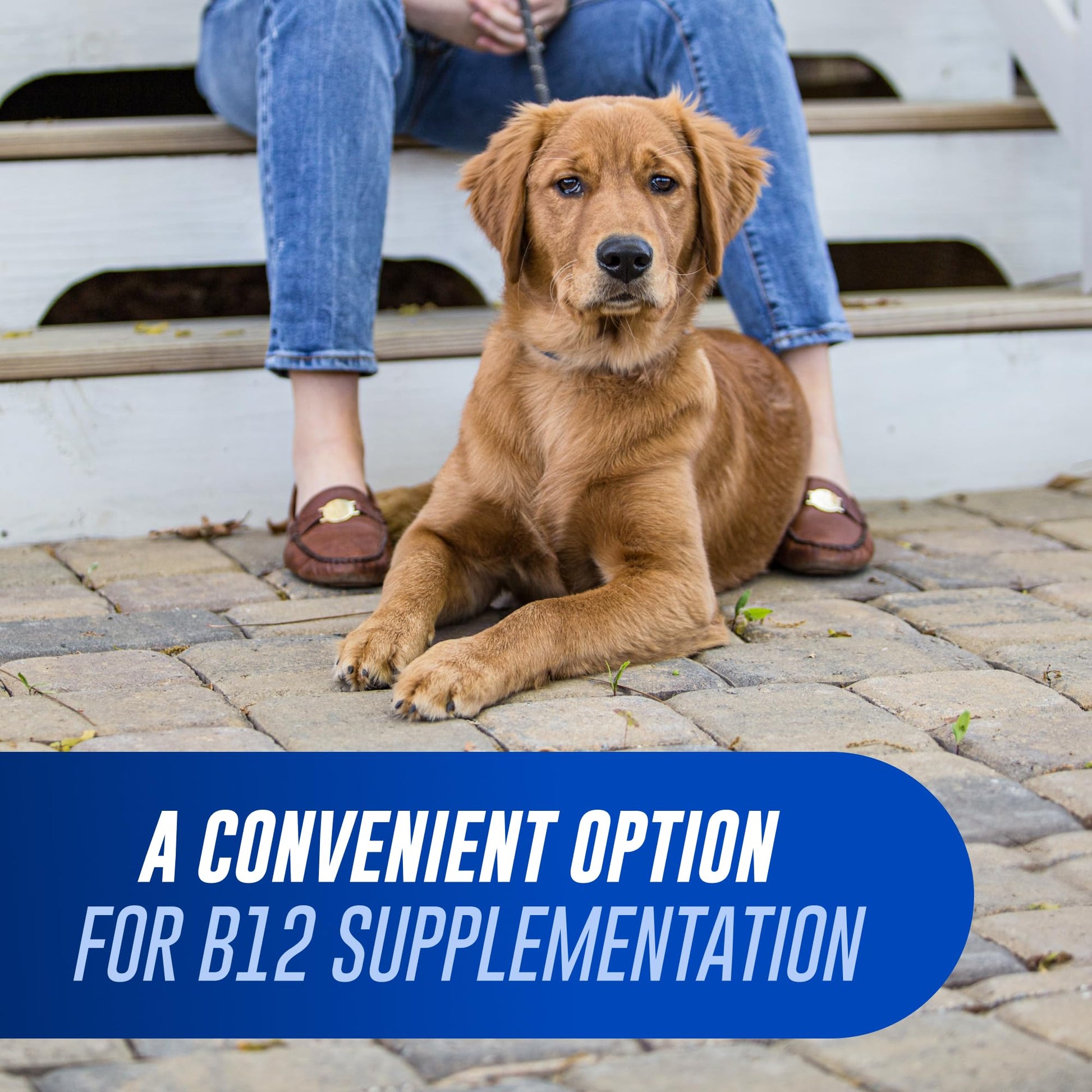 Nutramax Cobalequin Vitamin B12 for dogs over 22 pounds daily dosage chart details