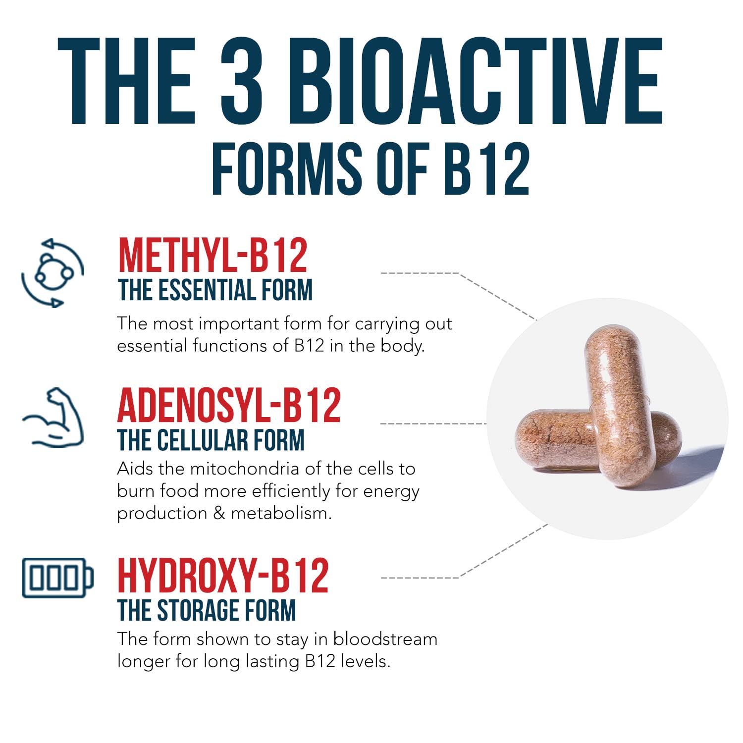 Side view of Triquetra Vitamin B12 showing clean non GMO and vegan product seals