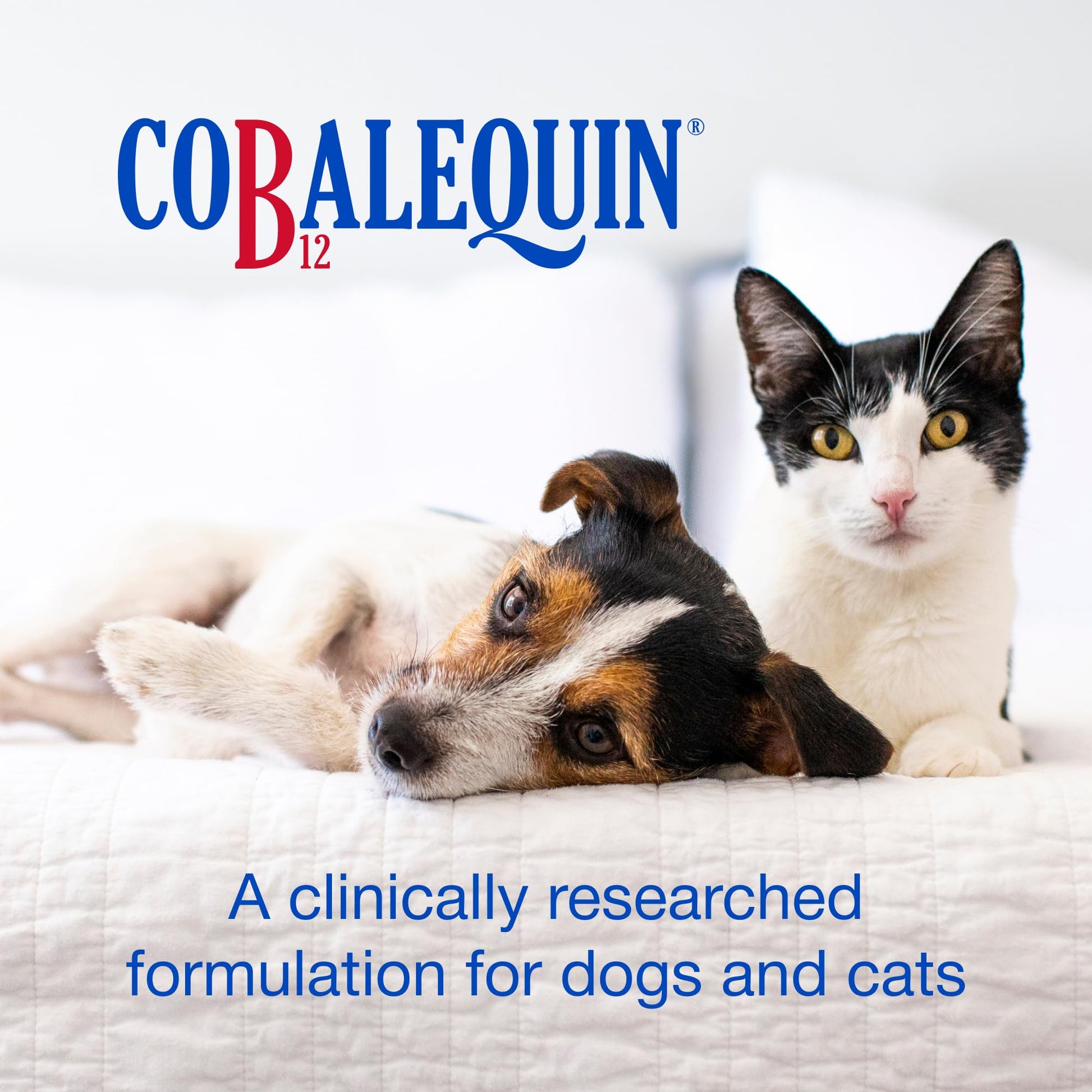 Nutramax Cobalequin bottle showing active ingredients of vitamin B12 and folate for small pets