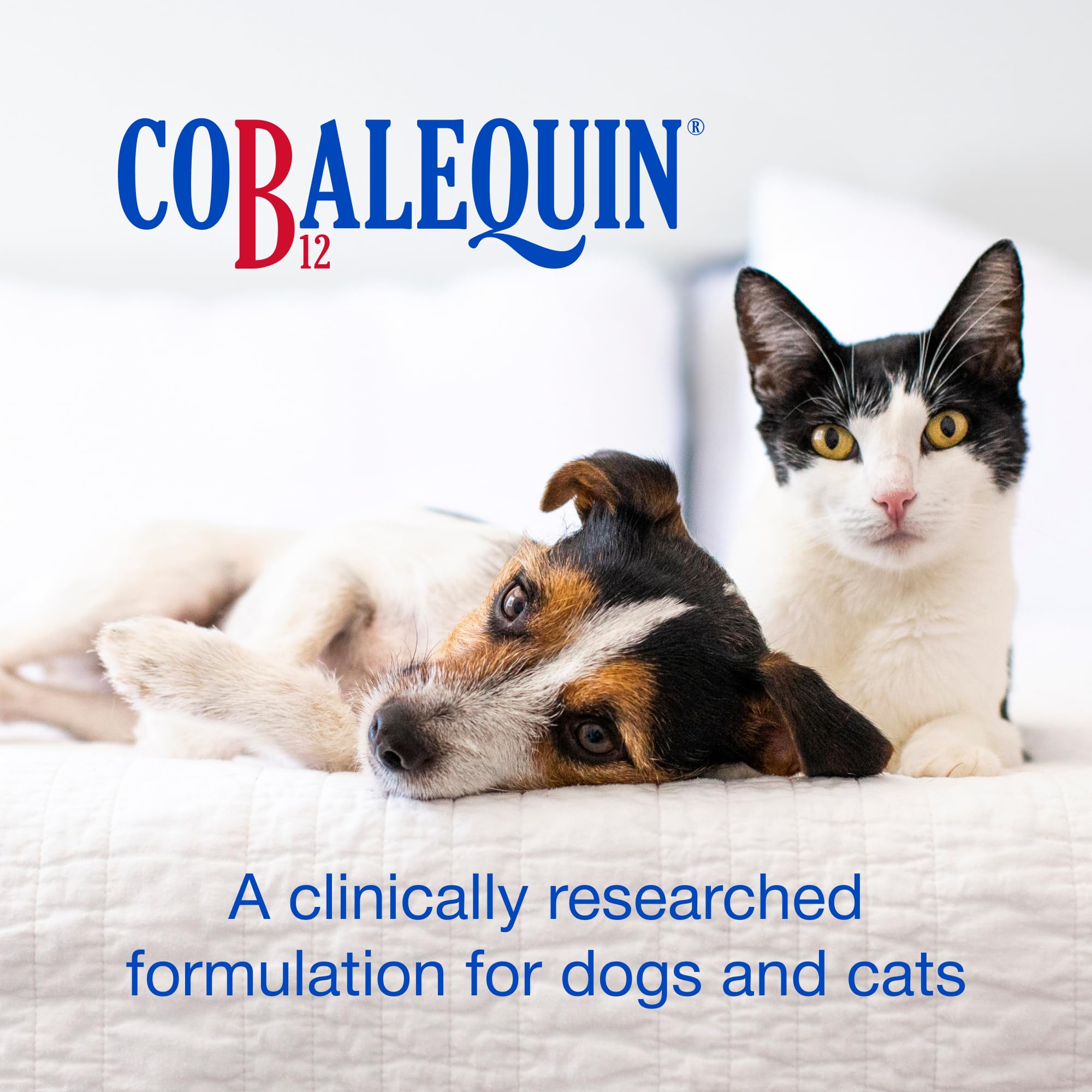 Nutramax Cobalequin bottle showing active ingredients of vitamin B12 and folate for small pets