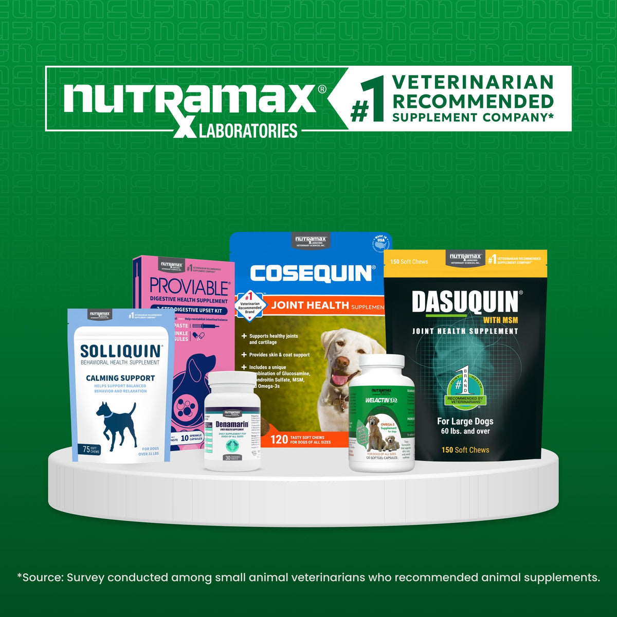 Authentic USA imported Nutramax Cobalequin chewable tablets seal and expiration date packaging view
