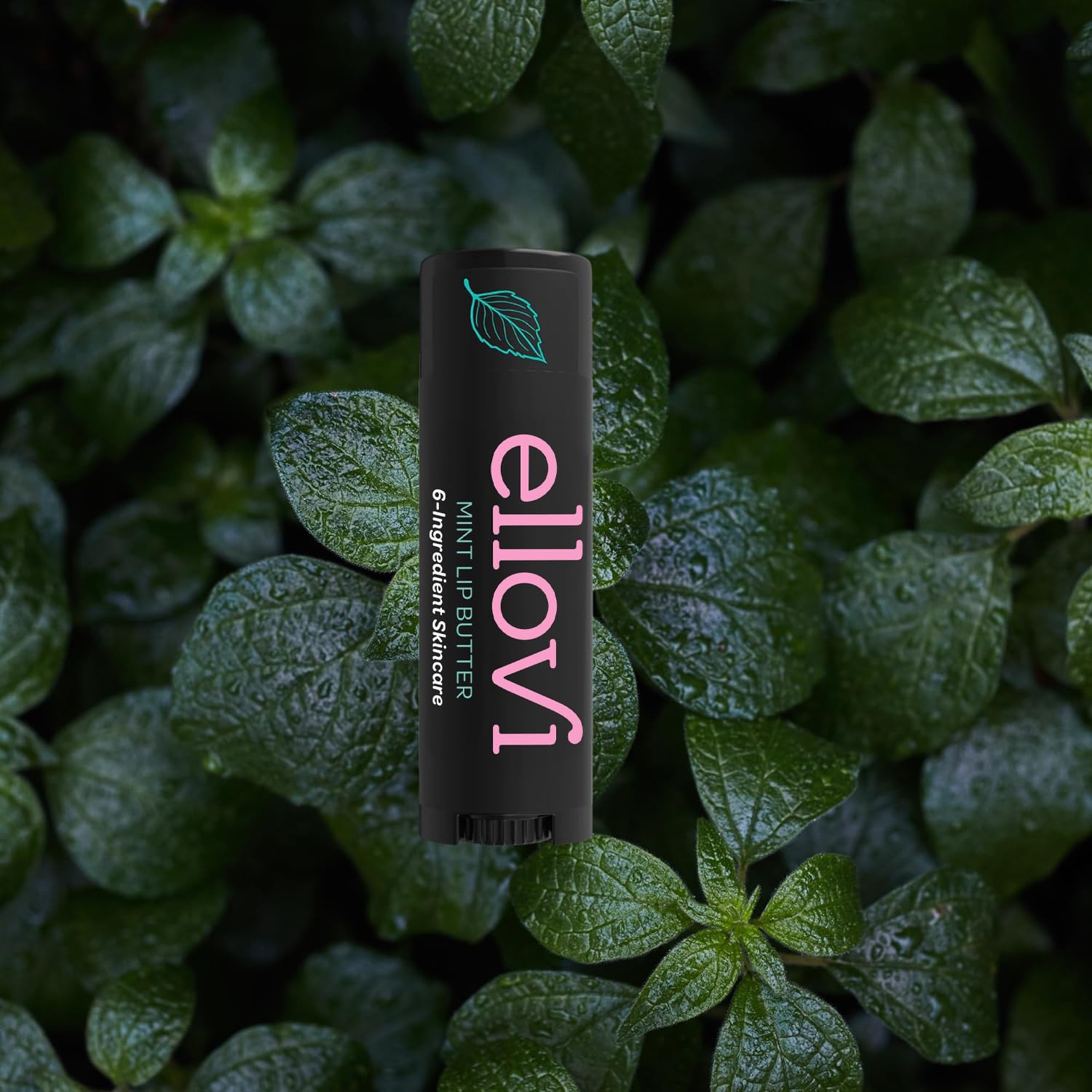 Ellovi 6 ingredient vegan mint lip balm packaging