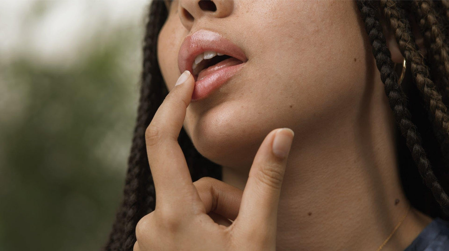 The Body Shop Mango Lip Butter ingredient highlights