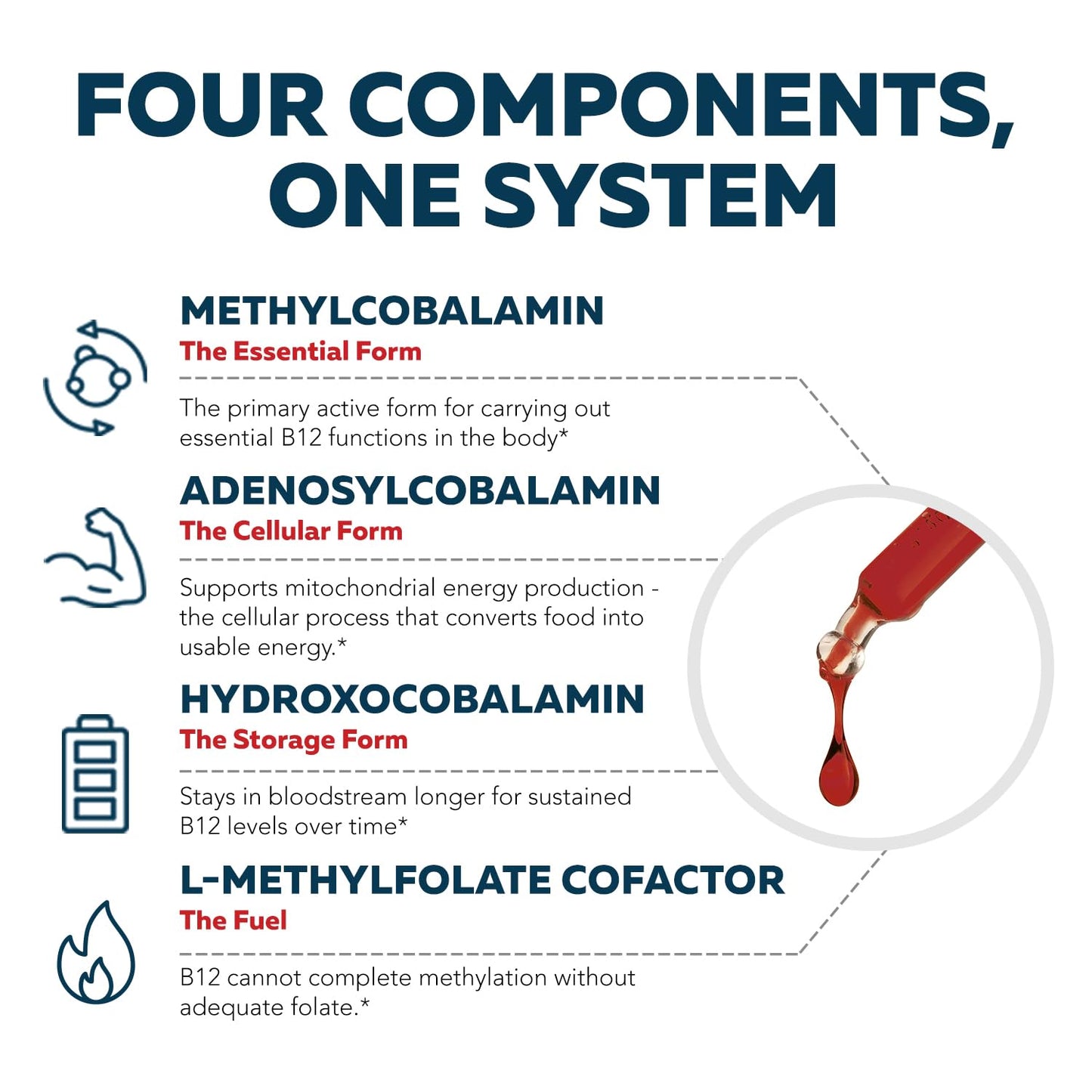 Certified USDA Organic and vegan certifications on the side packaging of the B12 drops.