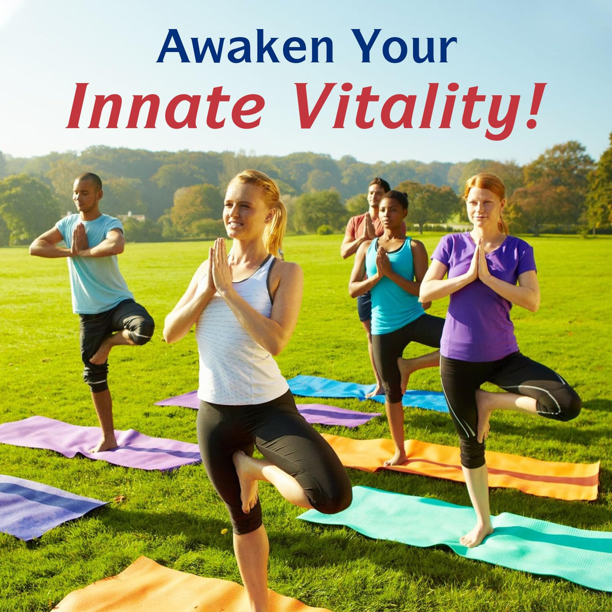 Lifestyle shot of Innate Vitality B12 sublingual bottle