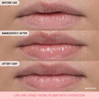 Laneige Bouncy And Firm Lip Treatment jar next to product packaging box