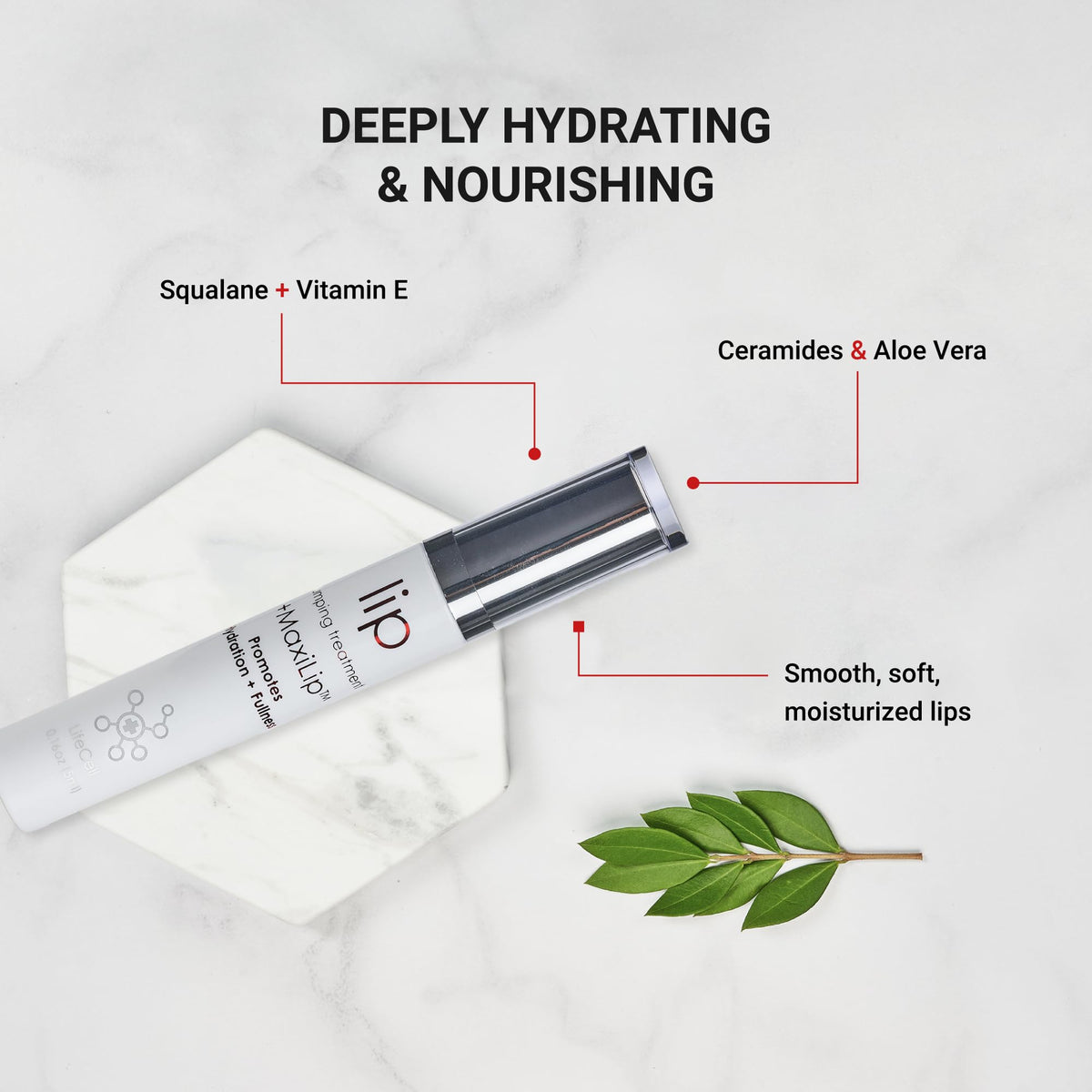 LifeCell Lip Plumping Treatment box packaging USA imported