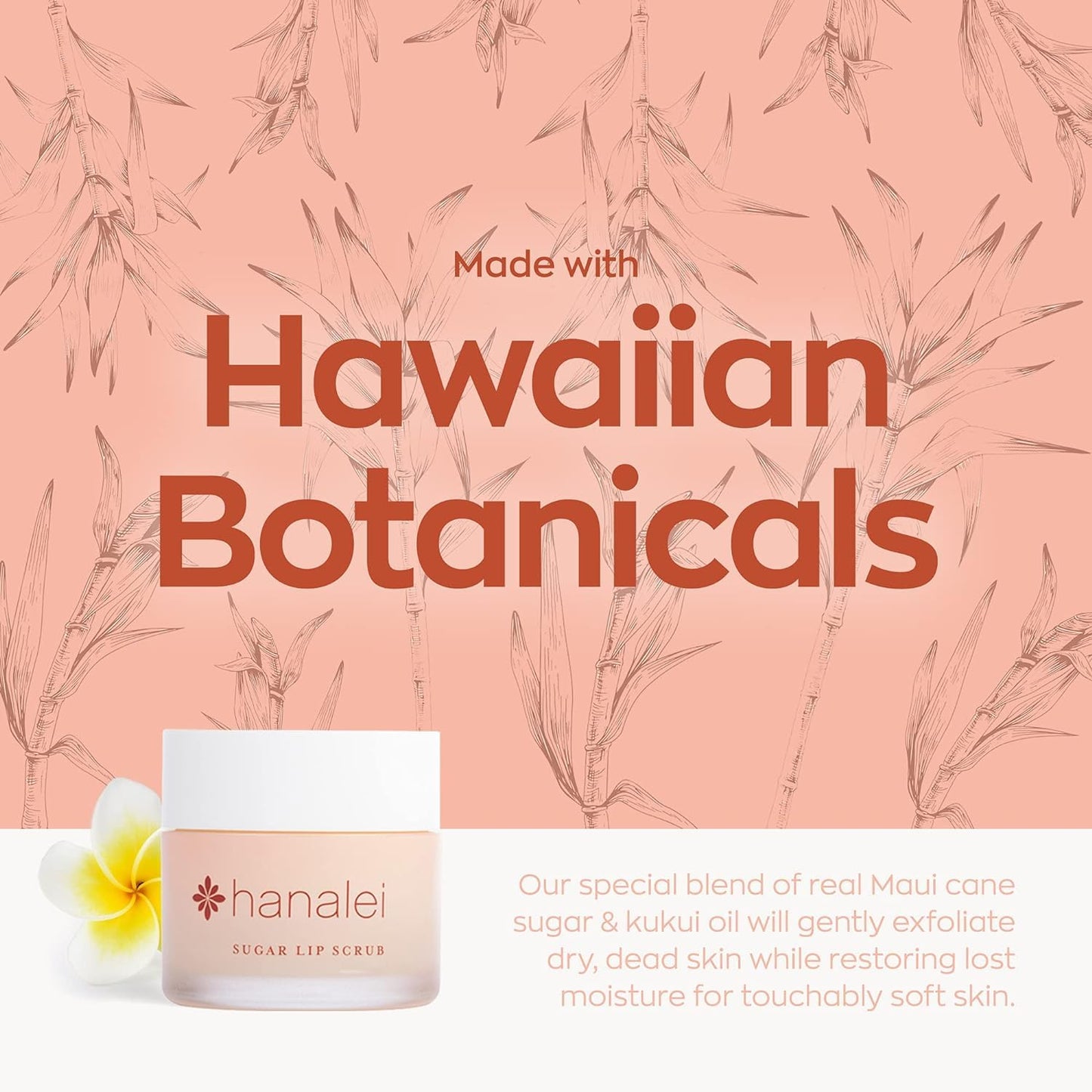 Close up of Hanalei vegan lip scrub natural ingredients