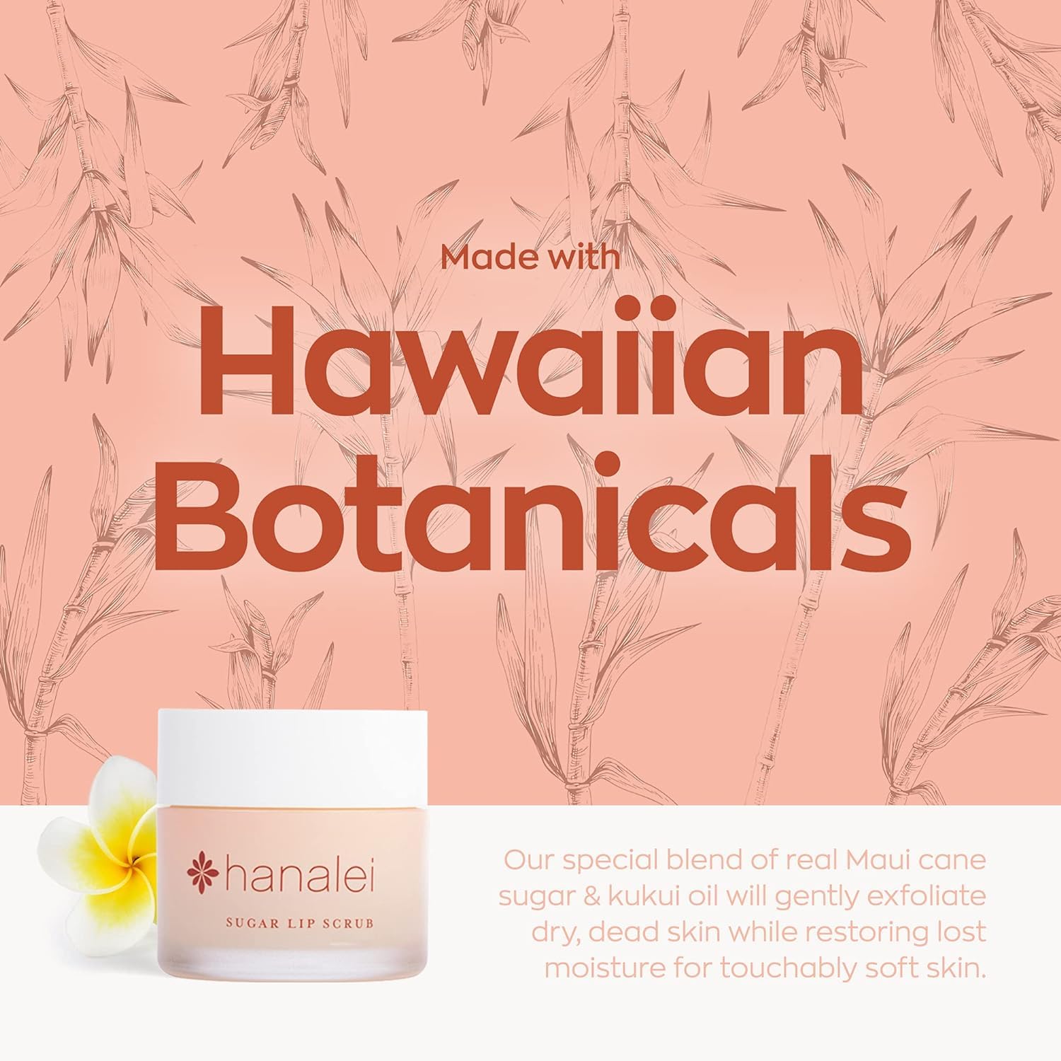 Close up of Hanalei vegan lip scrub natural ingredients