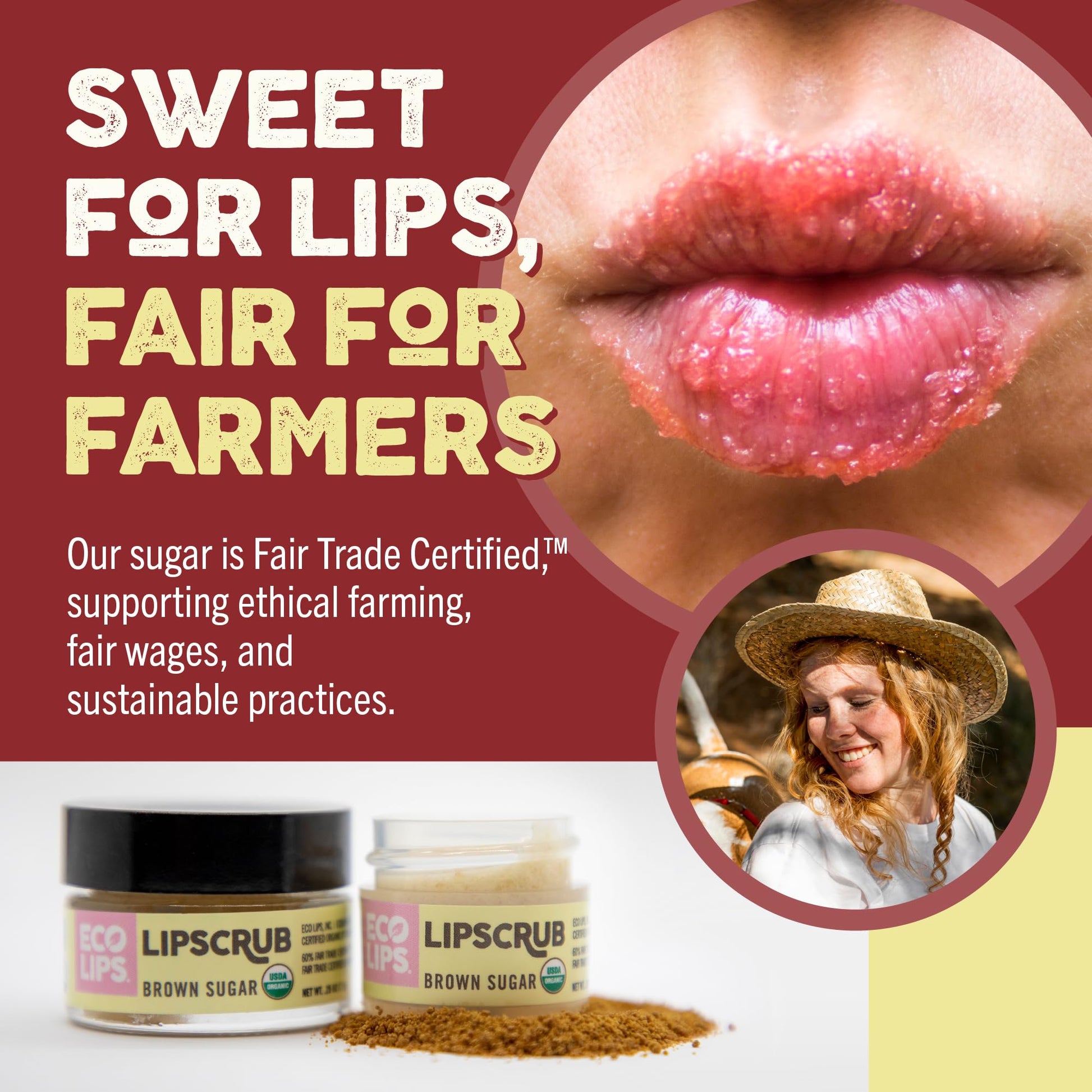 Natural coconut oil and sugar lip scrub ingredients