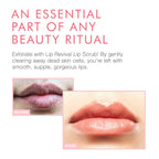 Beauty For Real Lip Revival Orange Spice packaging and container