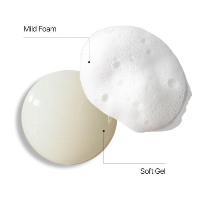 The Pure Lotus Jeju island lotus leaf extract facial cleanser
