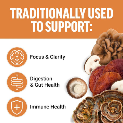 Force Factor Modern Mushrooms supplement bag showing cinnamon roll flavor details.