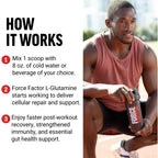 Force Factor L Glutamine Powder mixing in shaker bottle