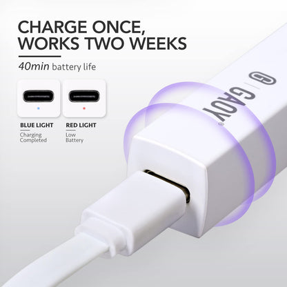 Gaoy nail light with charging stand and accessories