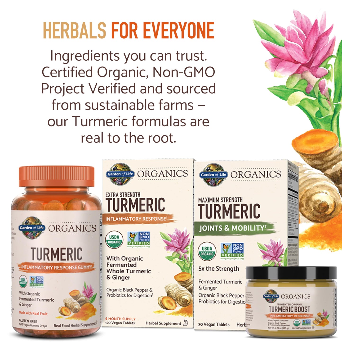 Garden of Life 120 vegan tablets extra strength turmeric supplement bottle displayed upright.
