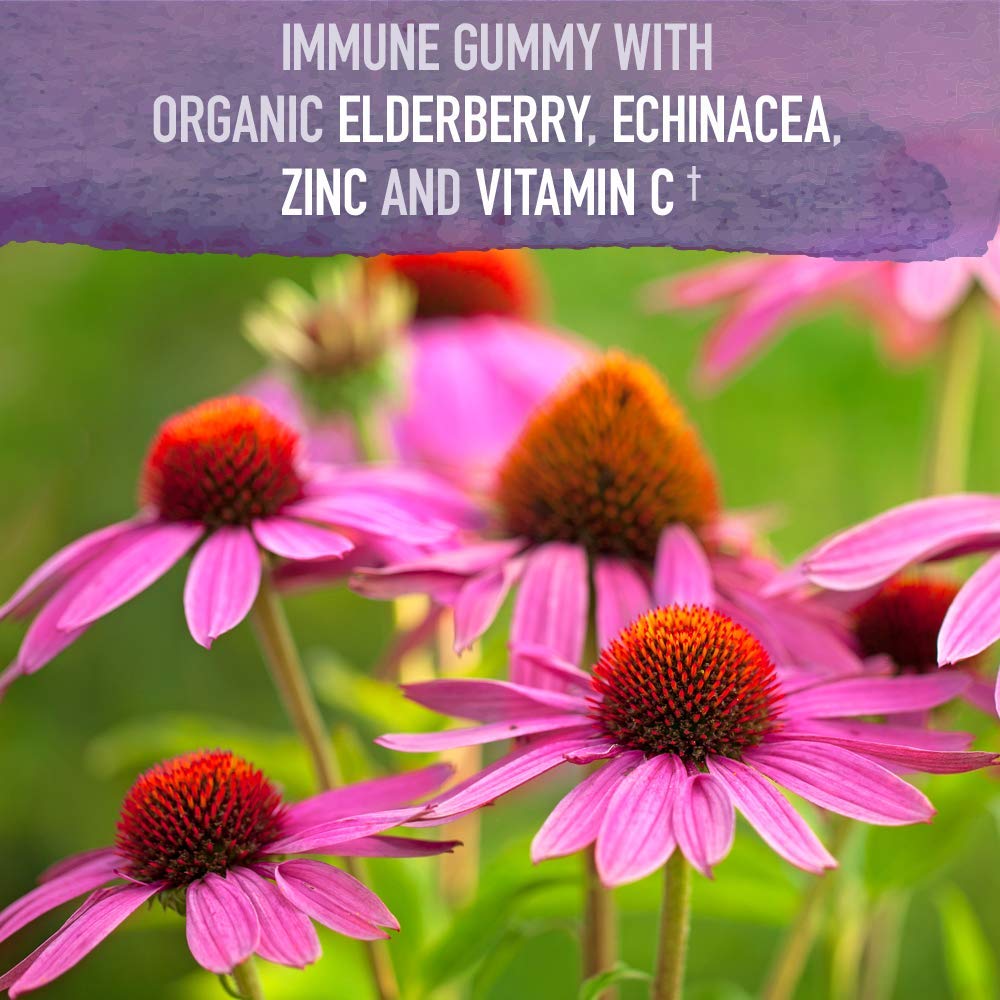 Side angle of organic elderberry supplement bottle showing 120 vegan gummy drops capacity