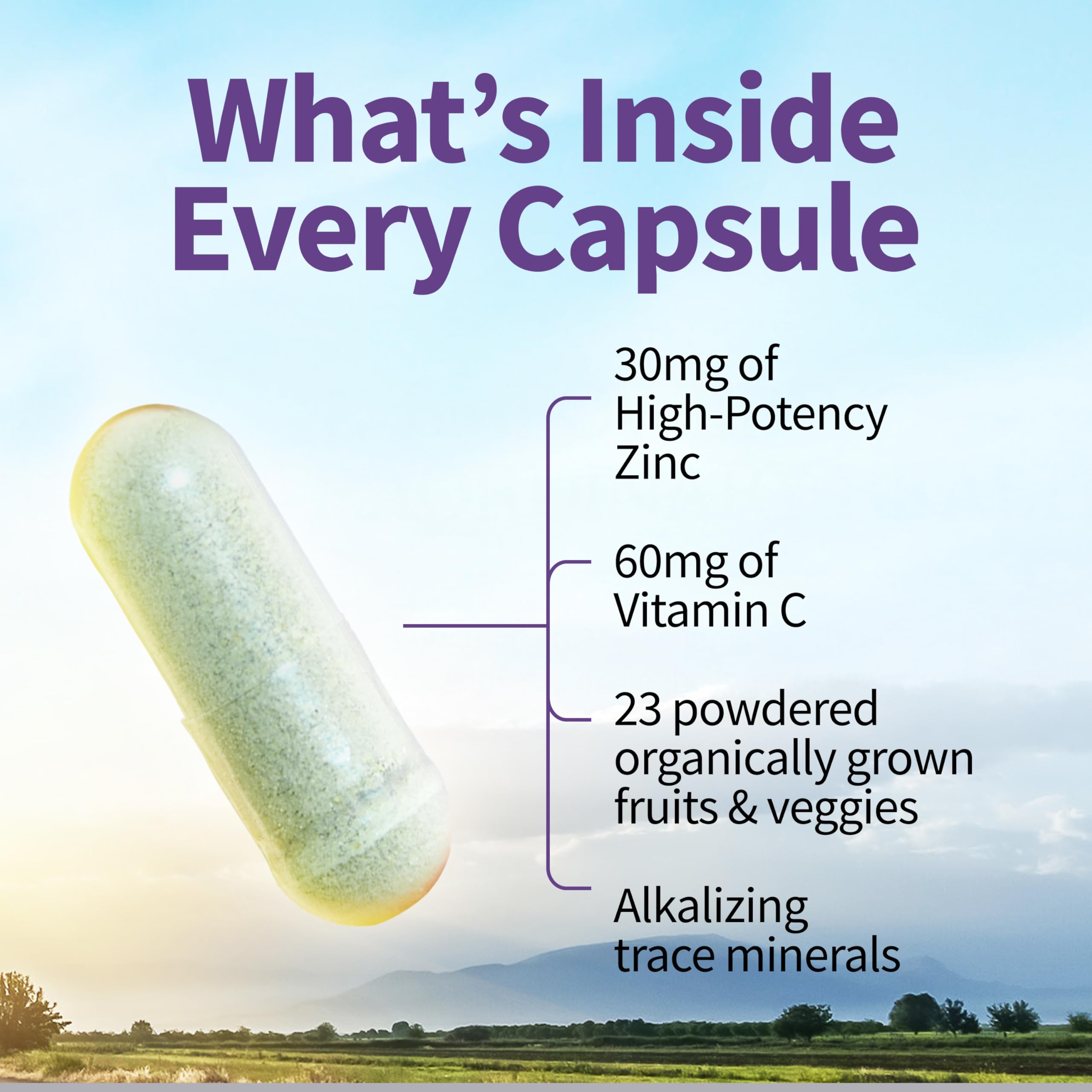 Garden of Life whole food zinc with vitamin C container top angle