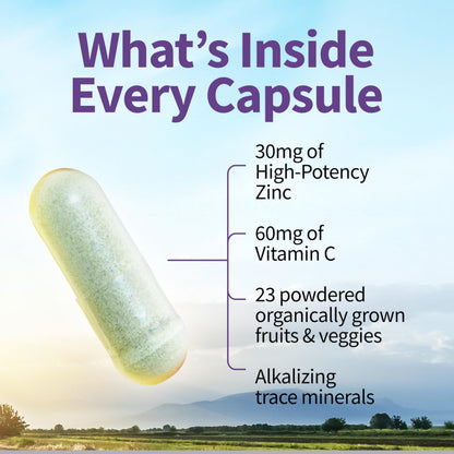 Garden of Life whole food zinc with vitamin C container top angle